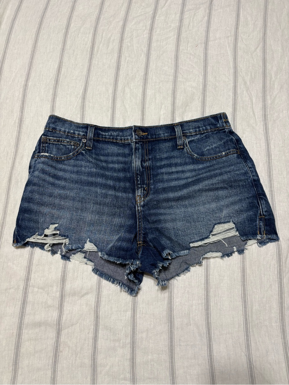 Aerie Daydream Dark Wash Denim Shorts Large NWT